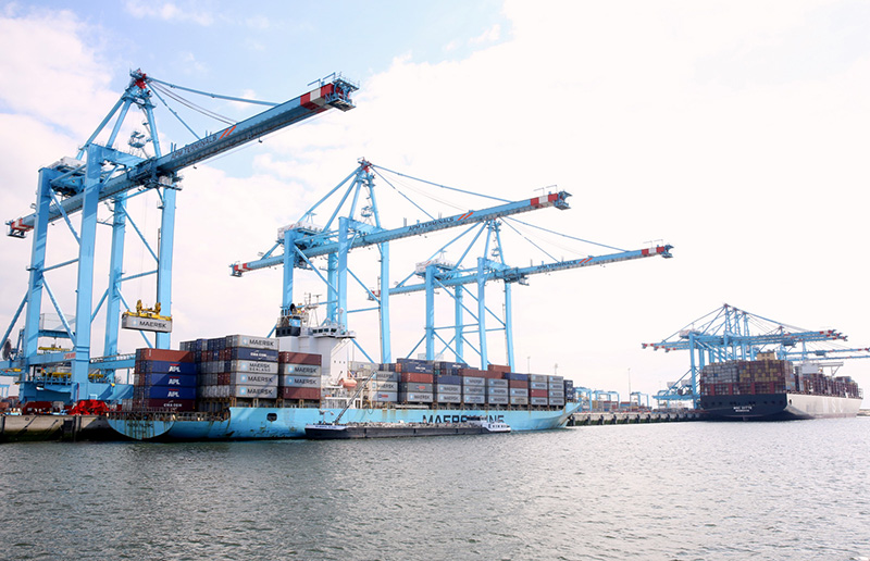 Dịch vụ vận tải Container đường biển nội địa