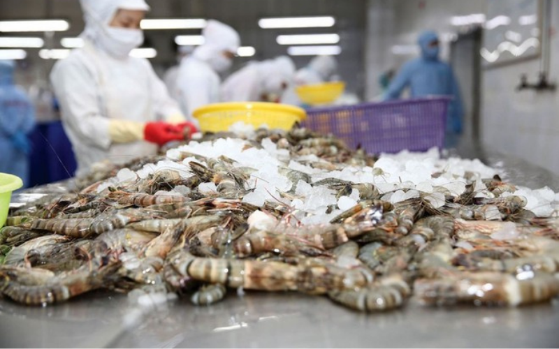 Áp Lực Chi Phí Và Tác Động Kép Đến Biên Lợi Nhuận