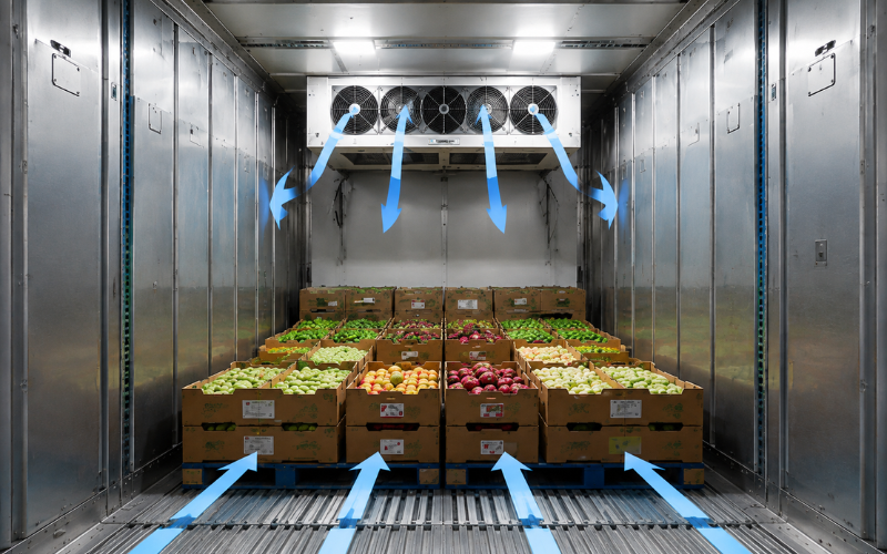 Các yếu tố kỹ thuật khi vận hành container bảo quản nông sản