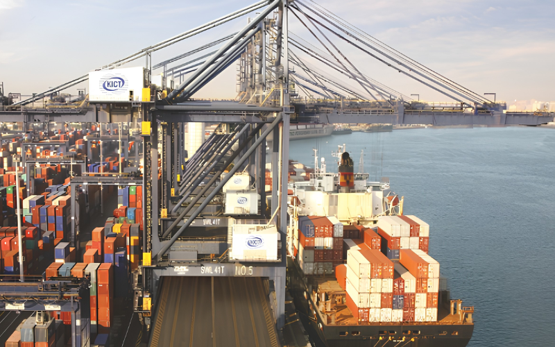 Doanh nghiệp hồ tiêu thiệt hại gần 600.000 USD vì rủi ro trong quy trình xuất khẩu hồ tiêu.