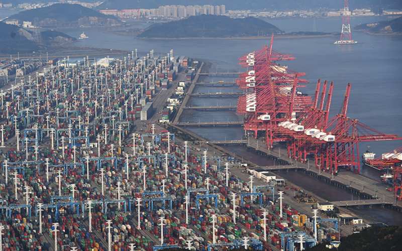 Gom hàng tại cảng Ningbo Zhoushan lên tàu container đi tuyến đường biển Bắc Cực.
