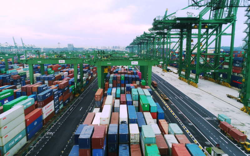Optimizing ocean freight logistics costs and handling yellow channel declarations at ports.