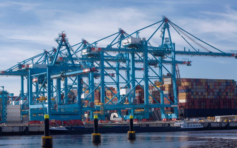 Incurring DEM DET demurrage fees and logistics costs due to port strike.
