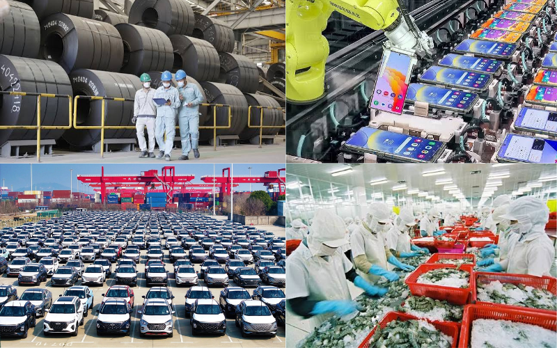 Mô tả vai trò chủ hàng thực sự BCO khi làm việc với hãng tàu hoặc đơn vị Freight Forwarder
