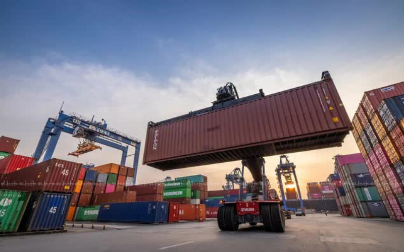 Container hạ bãi sau khi cập cảng sớm nhưng vẫn chờ thông quan