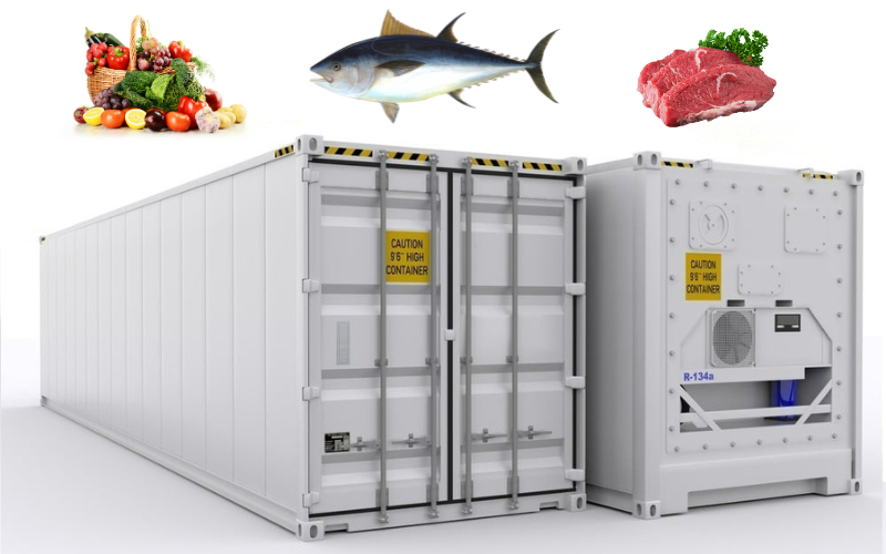 Chiếc container lạnh (Reefer Container) chuyên dụng dùng để vận chuyển hàng thực phẩm đông lạnh.