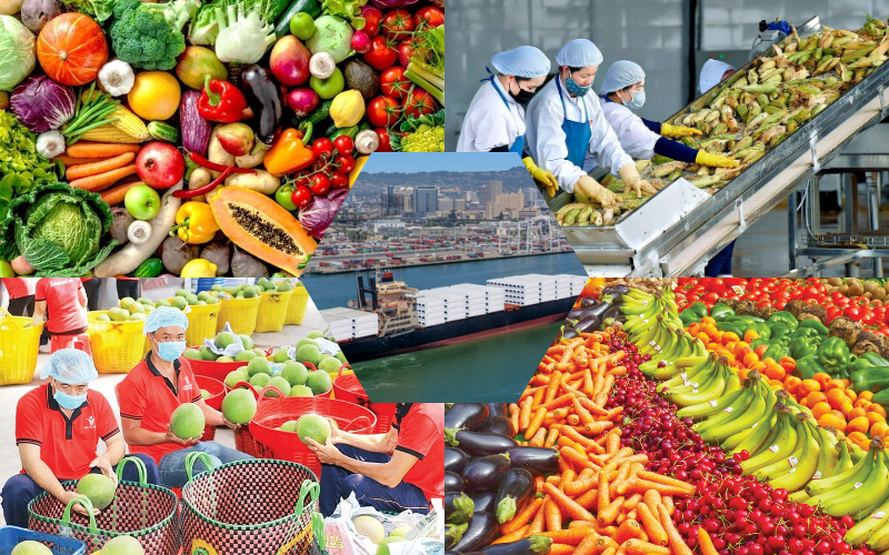 Container Lạnh Xuất Khẩu Nông Sản