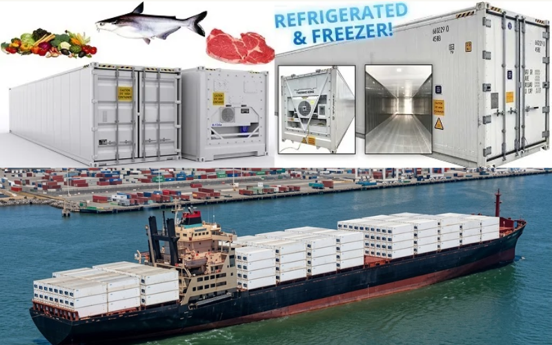 Ngành xuất khẩu thủy sản đối mặt với rủi ro lớn do cước vận tải biển tăng và thời gian giao hàng chậm trễ.