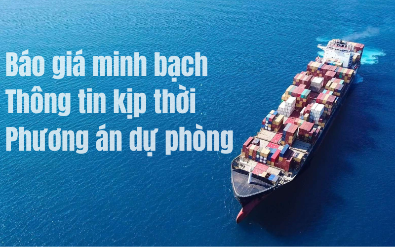 Dịch Vụ Hỗ Trợ Vận Chuyển Container