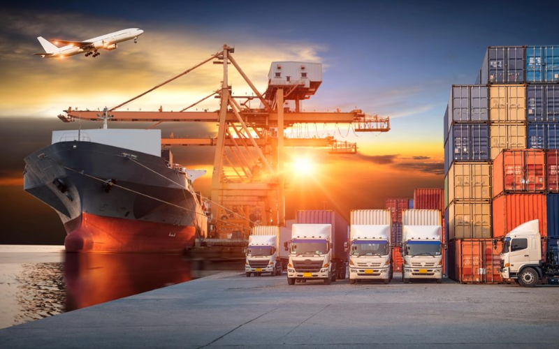 Đội ngũ VDM Forwarder cung cấp giải pháp vận chuyển nội địa uy tín