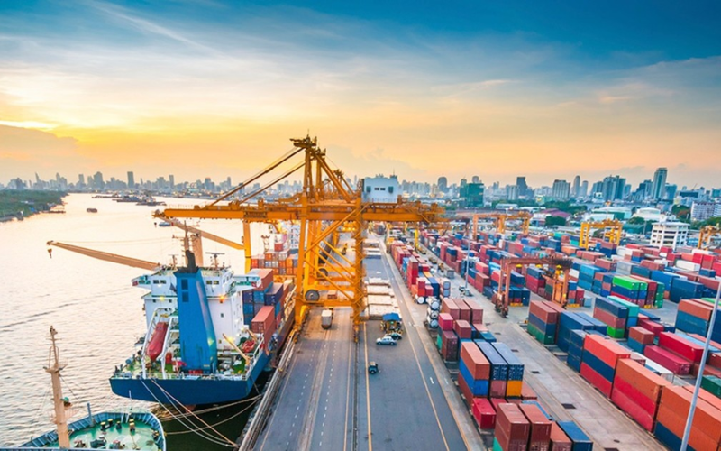 Doanh nghiệp nhập khẩu quy mô lớn nhờ vận chuyển chính ngạch đường biển