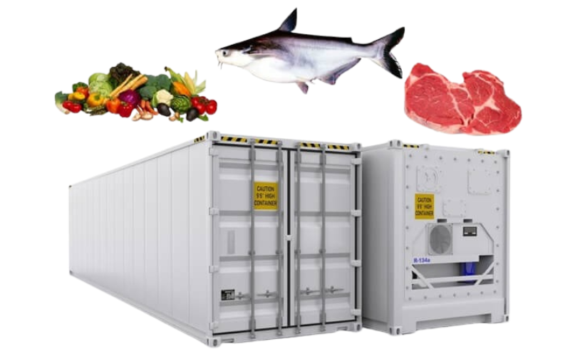 Đóng Hàng Nông Sản Vào Container Lạnh