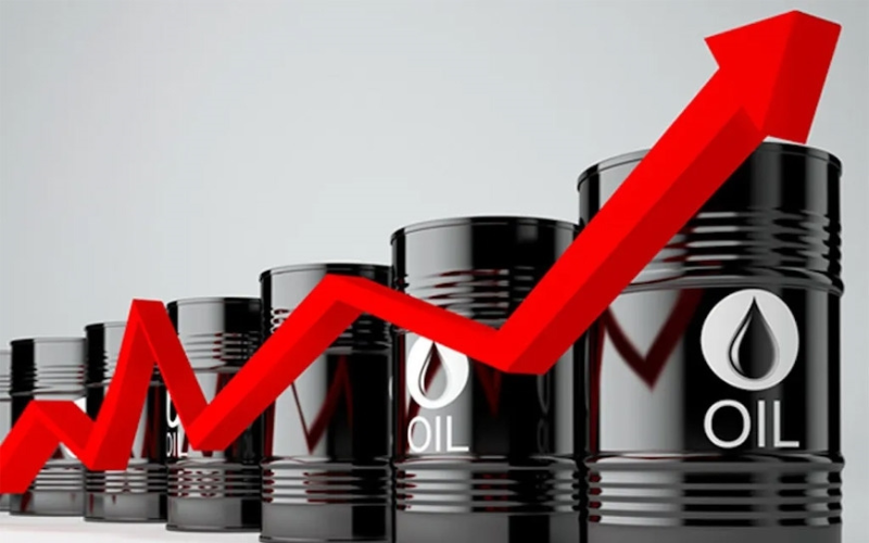 Giá Nhiên Liệu Đẩy Chi Phí Vận Chuyển Hàng Không