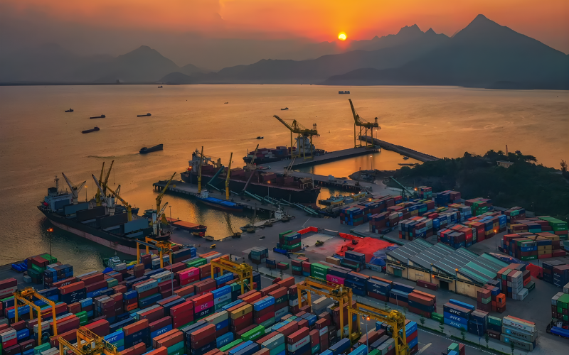 Giải Pháp Tối Ưu Chi Phí Logistics Cho Công Ty Xuất Khẩu