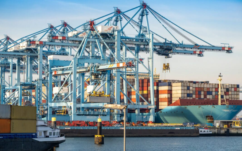 Tàu container phải chờ cập cảng gây gián đoạn vận chuyển đường biển quốc tế