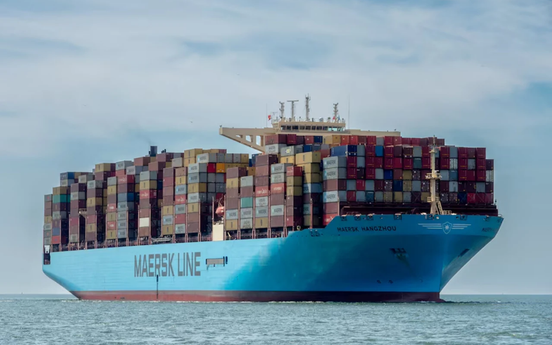 Hãng tàu trực tiếp khai thác tàu VOCC vận chuyển các container hàng hóa đường biển