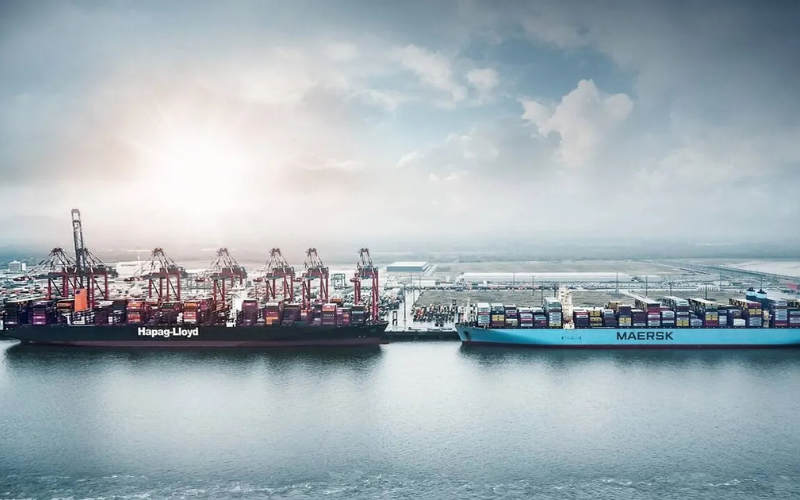 Liên Minh Vận Tải Container Gemini Cooperation