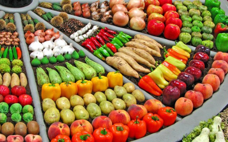 Logistics Lạnh Chuỗi Cung Ứng Nông Nghiệp