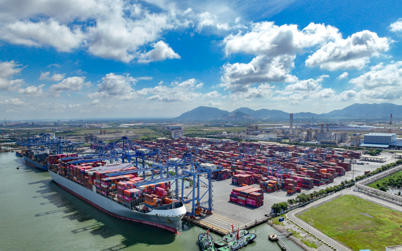 Năng Lực Vận Chuyển Container Đường Biển Cảng Cần Giờ