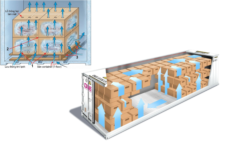 Hàng đông lạnh được xếp đúng quy cách bên trong container, đảm bảo không vượt quá vạch đỏ giới hạn.
