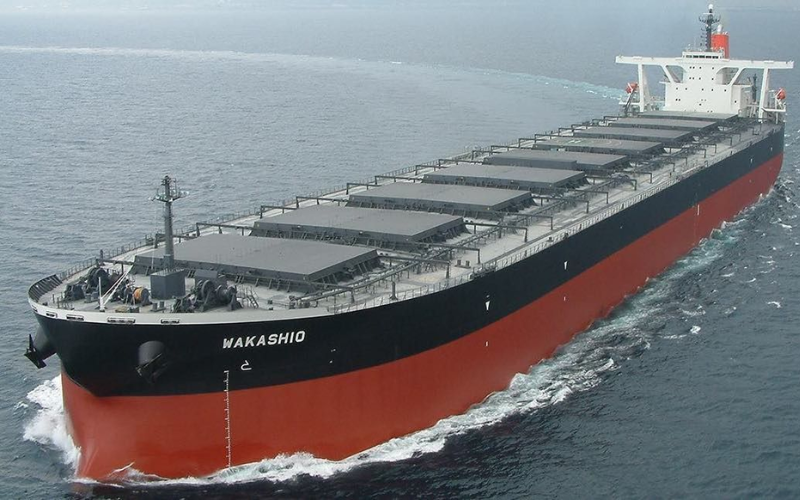 Tàu bulk carrier trong vận tải đường biển