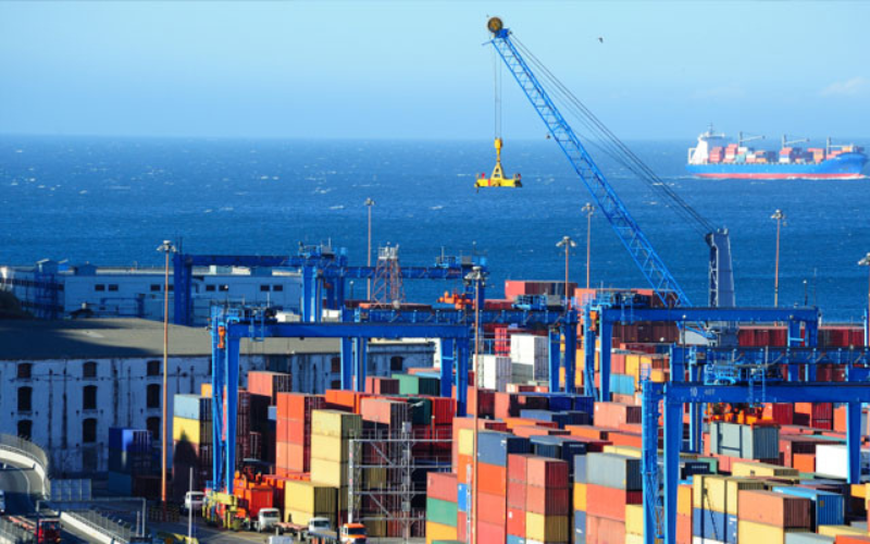 Theo Dõi Biến Động Cước Vận Tải Và Chính Sách Hãng Tàu