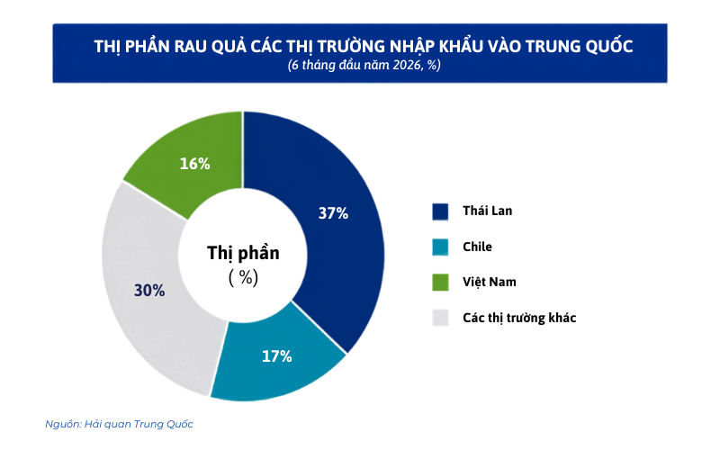 Chart of Vietnam fruit and vegetable export market share to China compared with Thailand and Chile