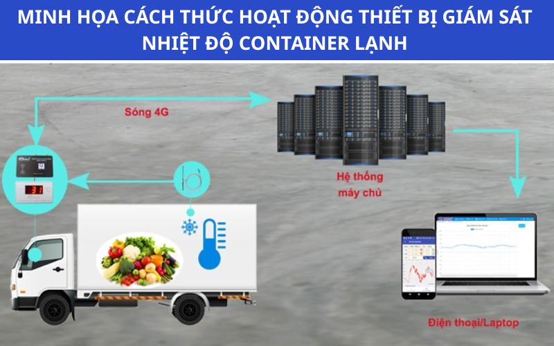 Thiết lập và giám sát nhiệt độ container lạnh suốt hành trình, cốt lõi của Quy trình Logistic thủy sản