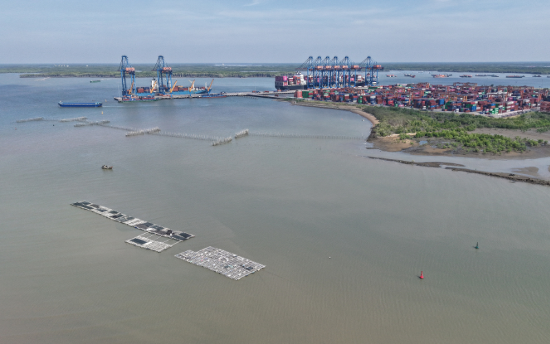 Thu Hút Đầu Tư Logistics Và Vận Tải Biển