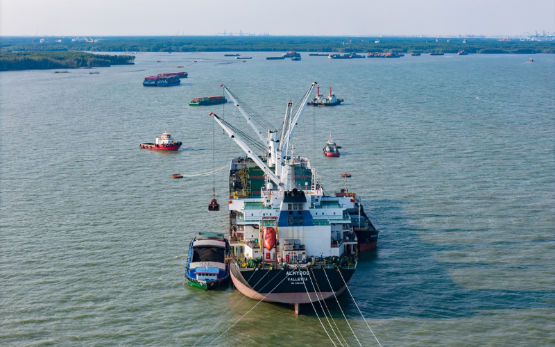 Vai Trò Logistics Cảng Cần Giờ Vận Chuyển Đường Biển