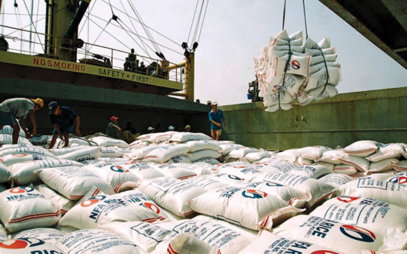 Loading bagged agricultural products onto bulk vessels for domestic sea freight shipping options between regions