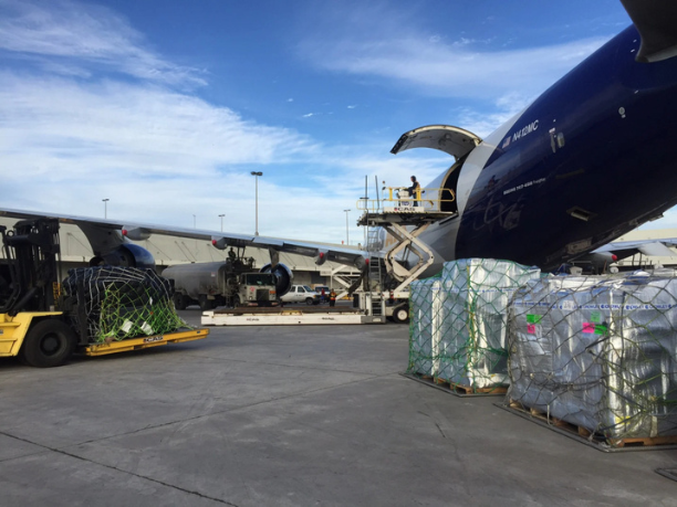 Preparing Documents And Information For Air Freight