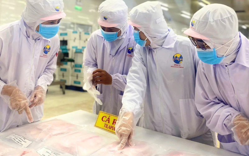 Ngành Cá Rô Phi Việt Nam Bứt Phá Tại Nhiều Thị Trường Xuất Khẩu