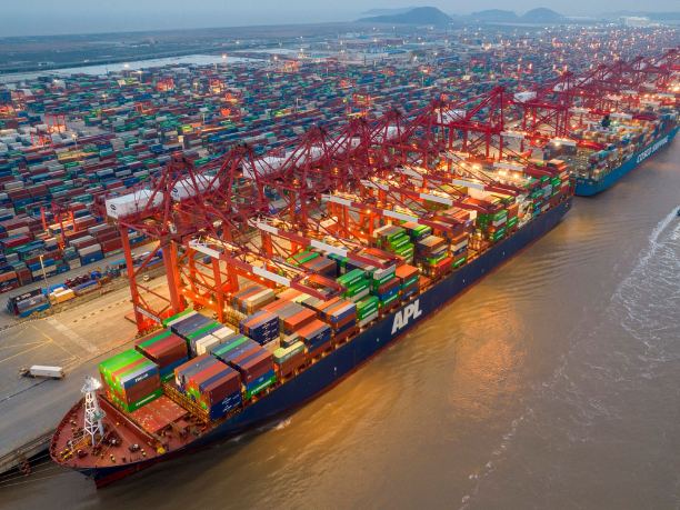 Sự Khác Biệt Giữa FCL Và LCL Trong Vận Tải Biển