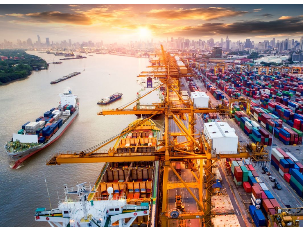 Quy Trình Giao Nhận Hàng Lẻ LCL Tại Cảng Biển Việt Nam