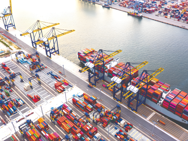 Bảo Vệ Chuỗi Cung Ứng - Phát Triển Logistics Nhân Đạo Việt Nam