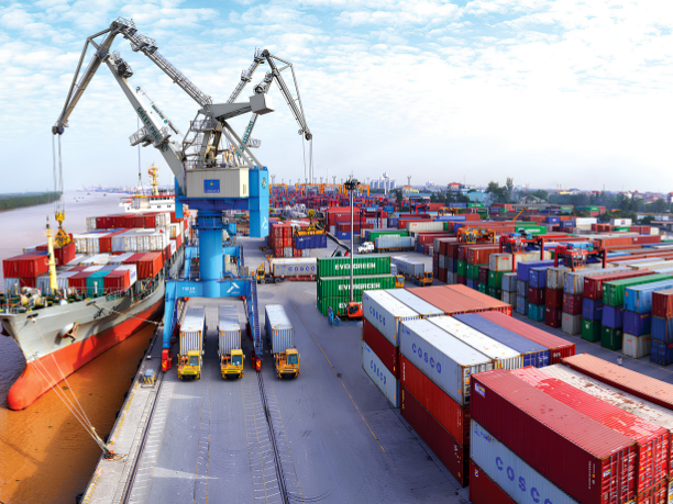Giải Quyết Điểm Nghẽn Logistics Ngành Thủy Sản Việt Nam