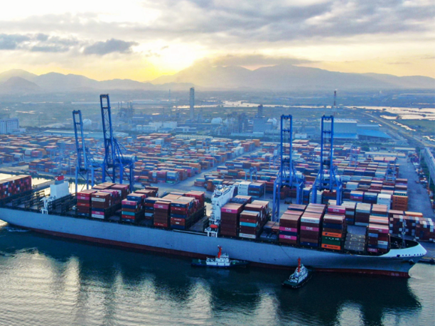 Phân Biệt BCO, VOCC, NVOCC Và Freight Forwarder Trong Logistics