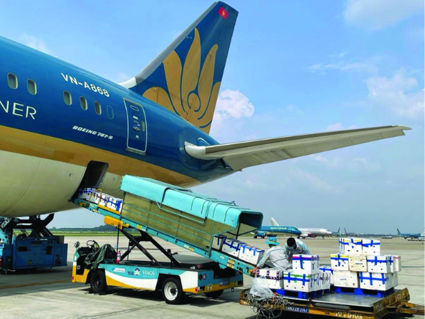 Định Hướng Thúc Đẩy Vận Chuyển Hàng Không Mới Của TP Đồng Nai