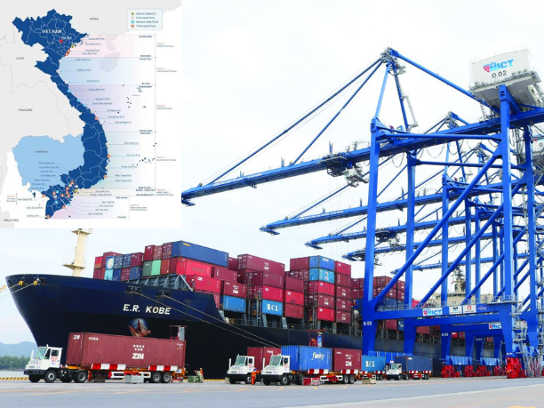 Best Cargo Types For Domestic Sea Freight Shipping Options