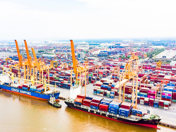 Hải Phòng Đẩy Mạnh Logistics Hỗ Trợ Doanh Nghiệp Mở Rộng Thị Trường