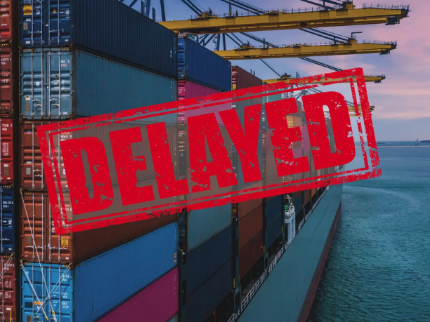 What Causes Container Shipment Delays? What Businesses Should Do